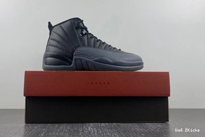 736 12 Lightweight “Black CT8013-019 Grey” Air Jordan Wolf 0912